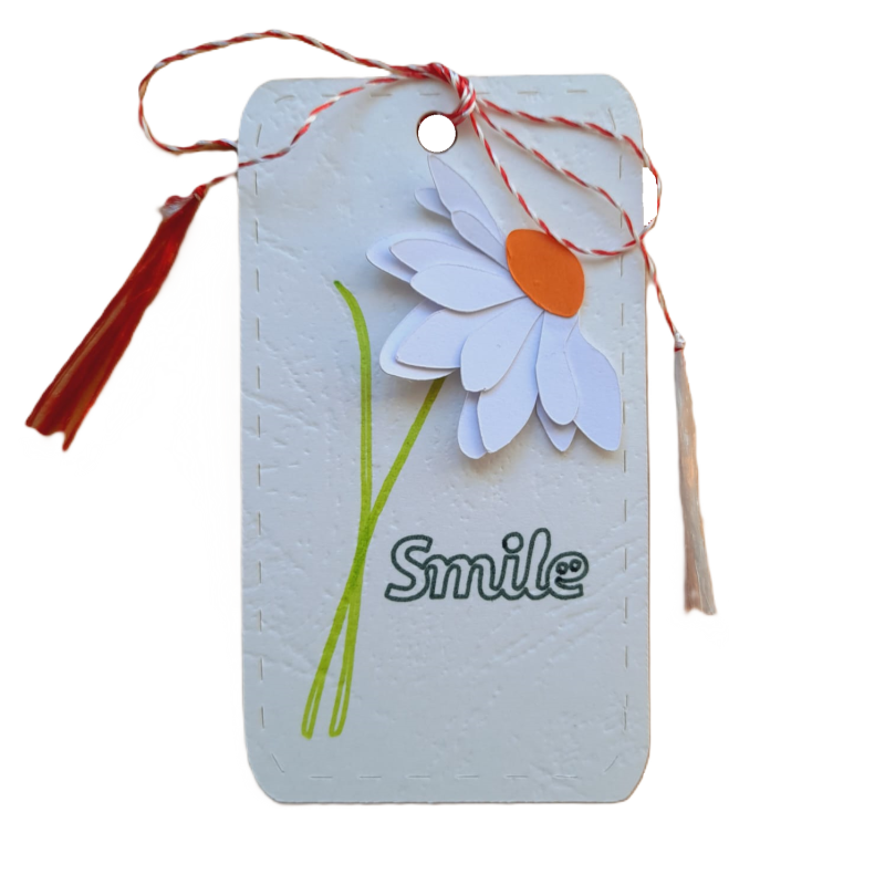 Set 25 buc, Tag, eticheta ornamentala Smile, 5x9 cm