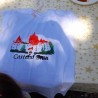 Atelier de pictura pe tricou de bumbac la Roaba de Cultura